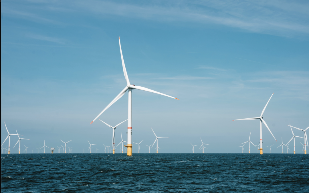 Trump order stalls wind projects